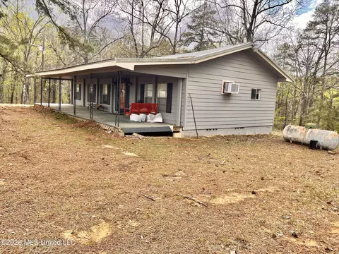 3221 Pine Grove Rd, Hickory Flat, MS 38633 photo 5