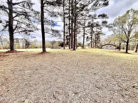 3221 Pine Grove Rd, Hickory Flat, MS 38633 photo 22