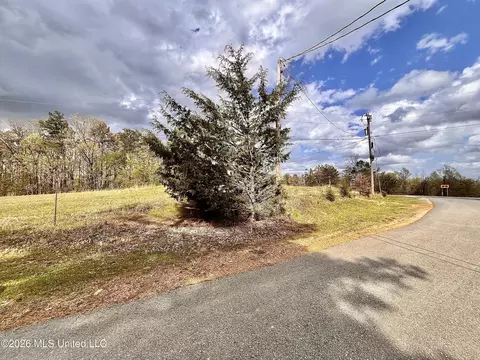 3221 Pine Grove Rd, Hickory Flat, MS 38633 photo 27