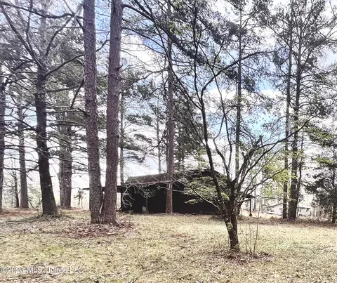 3221 Pine Grove Rd, Hickory Flat, MS 38633 photo 17