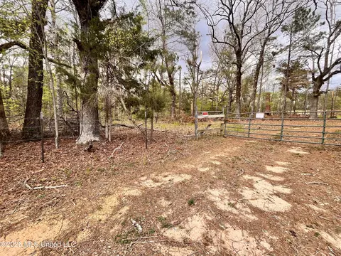 3221 Pine Grove Rd, Hickory Flat, MS 38633 photo 24