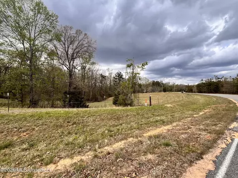 3221 Pine Grove Rd, Hickory Flat, MS 38633 photo 25