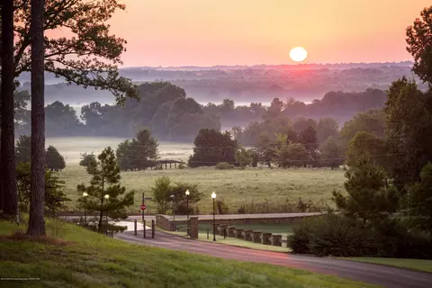 36 Cyrene Dr, Hernando, MS 38632