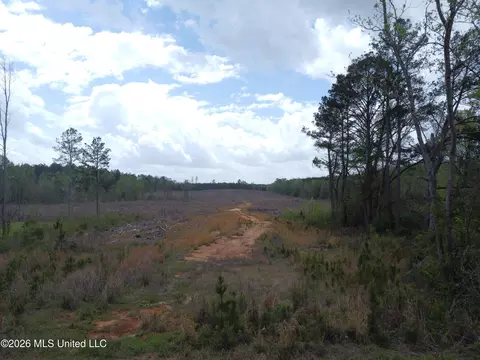 5244 Mississippi 496, Toomsuba, MS 39364