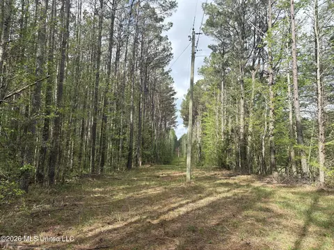 Hester Road, Ackerman, MS 39735 photo 8