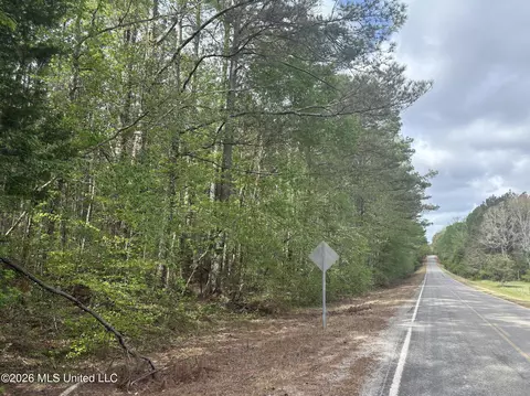 Hester Road, Ackerman, MS 39735 photo 6