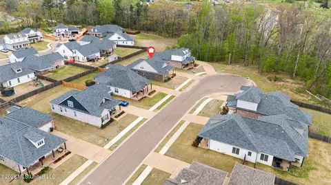 View/Area - 3847 Swan Cv, Hernando, MS 38632 photo 8 of 9