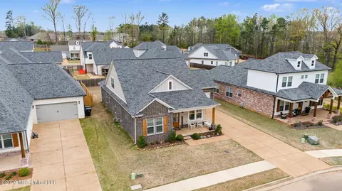View/Area - 3847 Swan Cv, Hernando, MS 38632 photo 3 of 9