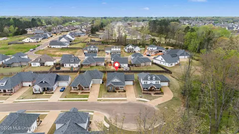 View/Area - 3847 Swan Cv, Hernando, MS 38632 photo 9 of 9