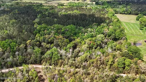 0 Pete Dixon Rd, Lucedale, MS 39452 photo 8