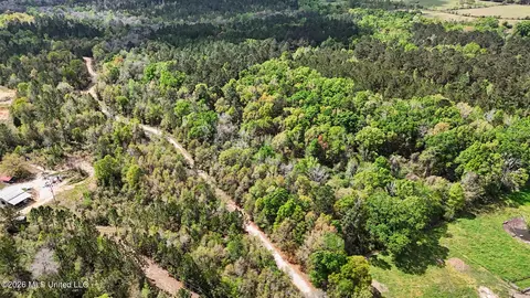 0 Pete Dixon Rd, Lucedale, MS 39452 photo 7