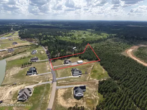 View/Area - 361 Stump Ridge Rd, Brandon, MS 39047 photo 9 of 9