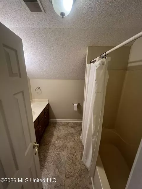 Bath - 3079 Lake Grove Dr, Hernando, MS 38632 photo 4 of 5