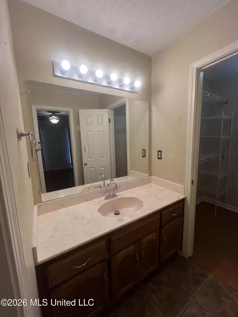 Bath - 3079 Lake Grove Dr, Hernando, MS 38632 photo 3 of 5