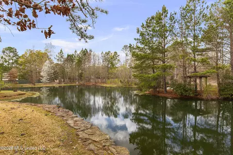 View/Area - 4028 Old Canton Rd, Jackson, MS 39216 photo 4 of 4
