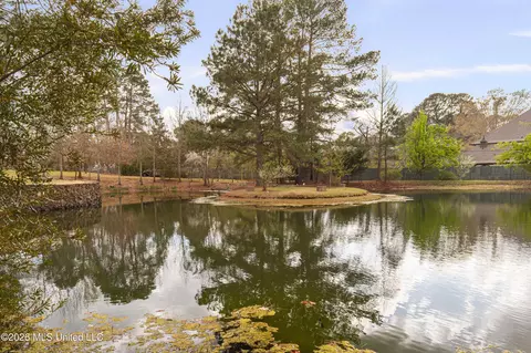 View/Area - 4028 Old Canton Rd, Jackson, MS 39216 photo 2 of 4