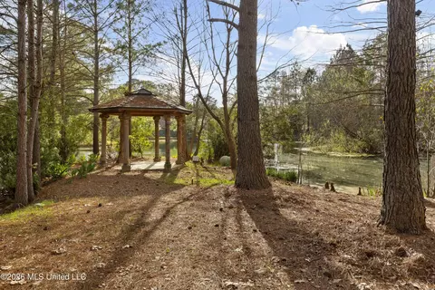 Exterior - 4028 Old Canton Rd, Jackson, MS 39216 photo 15 of 16