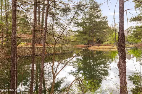 View/Area - 4028 Old Canton Rd, Jackson, MS 39216 photo 3 of 4