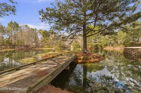 Other - 4028 Old Canton Rd, Jackson, MS 39216 photo 3 of 18