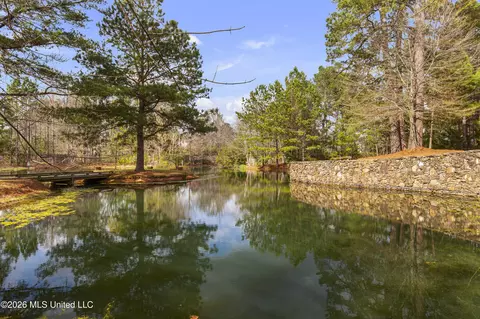 View/Area - 4028 Old Canton Rd, Jackson, MS 39216 photo 1 of 4