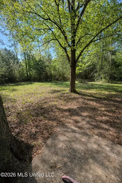Exterior - 1146 Johnston Chapel Rd, Summit, MS 39666 photo 7 of 9