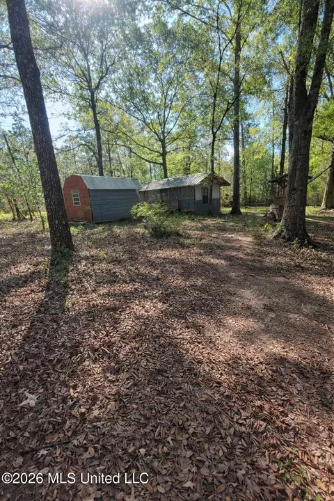 Exterior - 1146 Johnston Chapel Rd, Summit, MS 39666 photo 4 of 9