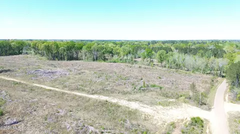 Pettey Road, Forest, MS 39074 photo 3