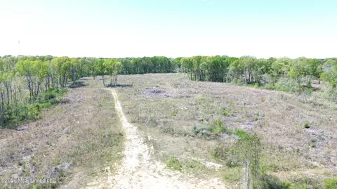 Pettey Road, Forest, MS 39074 photo 2