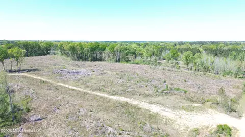Pettey Road, Forest, MS 39074 photo 4
