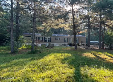 40 Lizie Ln, Mount Olive, MS 39119