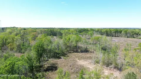 Pettey Road, Forest, MS 39074 photo 2