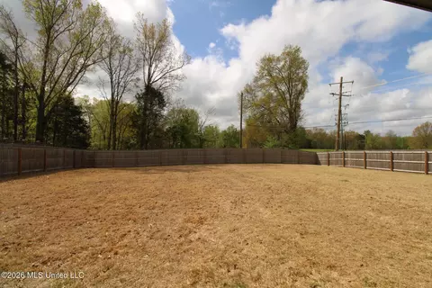 Exterior - 4007 Bakersfield Dr, Nesbit, MS 38651 photo 5 of 7