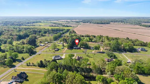 View/Area - 4425 Chamberlin Oaks Dr, Hernando, MS 38632 photo 3 of 3