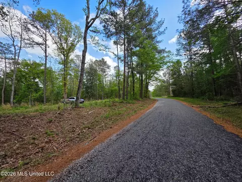 1967 Smith Cr 53 Dr, Mount Olive, MS 39119