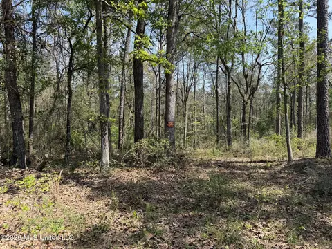 1967 Smith Cr 53 Dr, Mount Olive, MS 39119 photo 4
