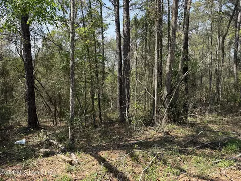 1967 Smith Cr 53 Dr, Mount Olive, MS 39119 photo 9