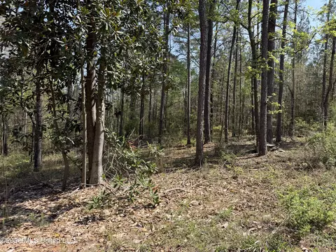 1967 Smith Cr 53 Dr, Mount Olive, MS 39119 photo 7