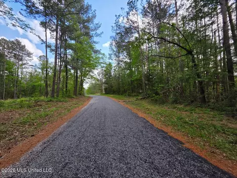 1967 Smith Cr 53 Dr, Mount Olive, MS 39119 photo 3