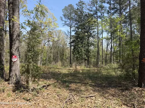 1967 Smith Cr 53 Dr, Mount Olive, MS 39119 photo 5