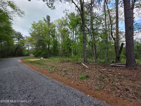 1967 Smith Cr 53 Dr, Mount Olive, MS 39119 photo 2