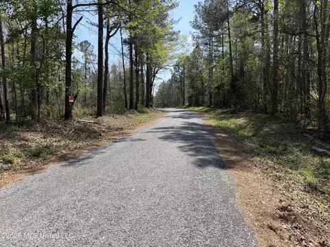 1967 Smith Cr 53 Dr, Mount Olive, MS 39119 photo 10