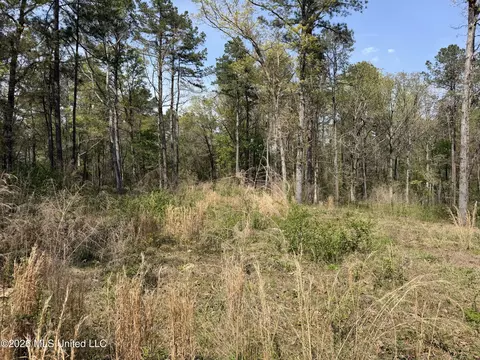 1967 Smith Cr 53 Dr, Mount Olive, MS 39119 photo 6