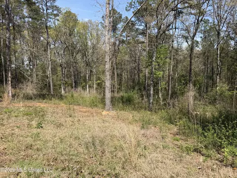 1967 Smith Cr 53 Dr, Mount Olive, MS 39119 photo 8
