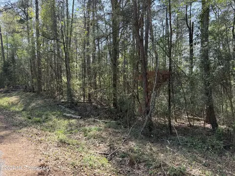 1967 Smith Cr 53 Dr, Mount Olive, MS 39119 photo 11