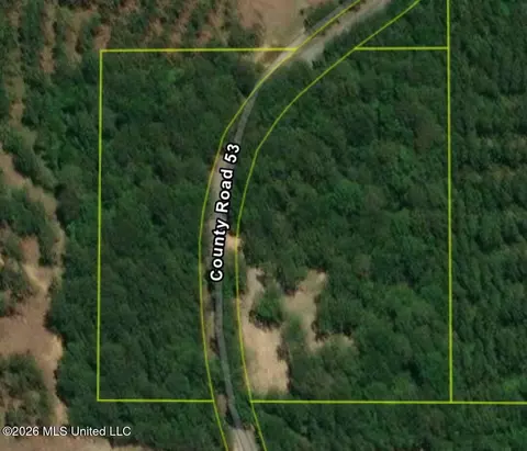 1967 Smith Cr 53 Dr, Mount Olive, MS 39119 photo 12