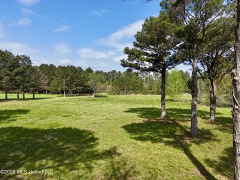 0001 Bozeman Rd, Madison, MS 39110 photo 8