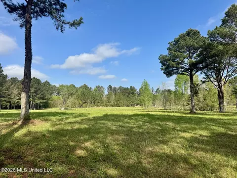 0001 Bozeman Rd, Madison, MS 39110 photo 13