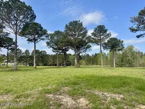 0001 Bozeman Rd, Madison, MS 39110 photo 7