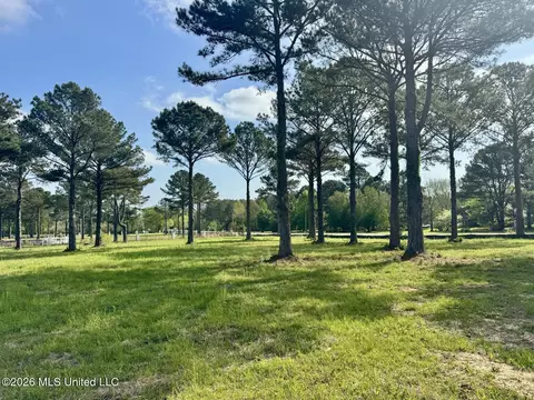 0001 Bozeman Rd, Madison, MS 39110 photo 12