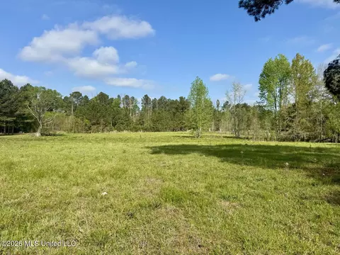 0001 Bozeman Rd, Madison, MS 39110 photo 11